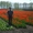 Луковицы тюльпанов Белгород #49893