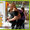 Торговые автоматы попкорн Испания - Изображение #8, Объявление #259013