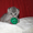 Шотландские котята из профессионального питомника - Изображение #1, Объявление #274185