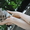 котята от кошки скоттиш-страйт отдам в хорошие руки - Изображение #8, Объявление #1477824