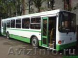 Автобусы ПАЗ, КАВЗ, ГолАЗ, ЛиАЗ, ГАЗ  - Изображение #1, Объявление #133430