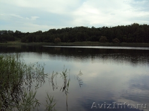 Домик на озере с евроремонтом. - Изображение #7, Объявление #321217