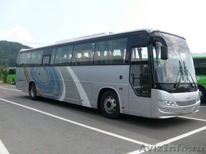 Продаём автобусы Дэу Daewoo  Хундай  Hyundai  Киа  Kia  в  Омске. Белгород. - Изображение #1, Объявление #849469