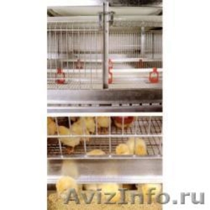 Комплекты оборудования для содержания птицы (Украина) - Изображение #1, Объявление #1488326